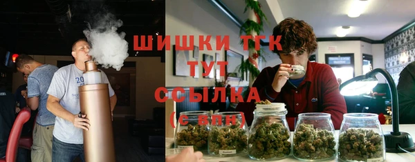 гашик Абинск
