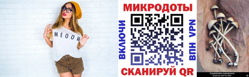 Псилоцибиновые грибы Psilocybe  купить   Дальнереченск 