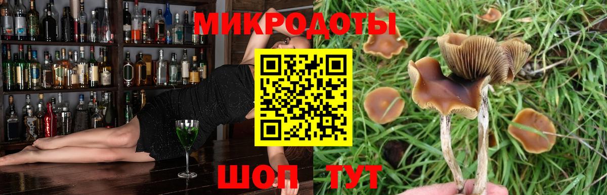 Галлюциногенные грибы прущие грибы  Вход с VPN  купить наркоту  Дальнереченск 